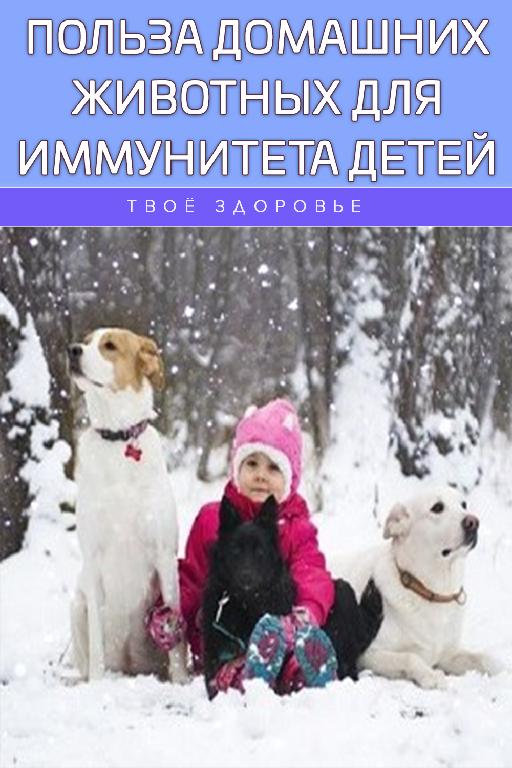 Польза домашних животных для иммунитета детей