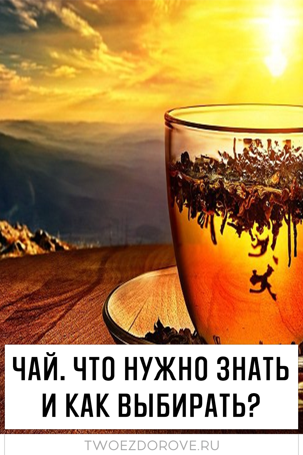 Чай. Что нужно знать и как выбирать?