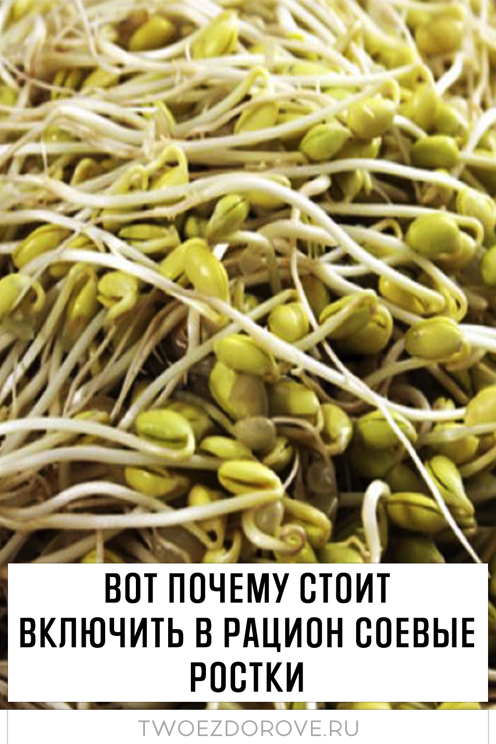 Вот почему стоит включить в рацион соевые ростки
