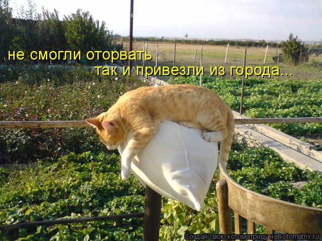 О даче с улыбкой