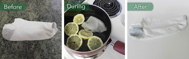 lemon_tips_5_socks-1