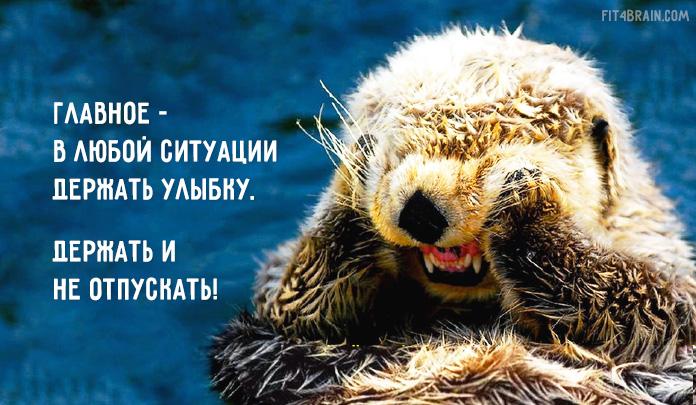 Копилка самых бесценных работающих советов!