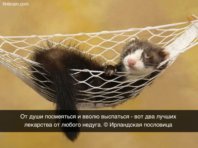Копилка самых бесценных работающих советов!