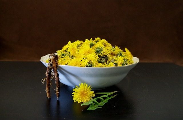 Продукты и травы для клеточного омоложения печени