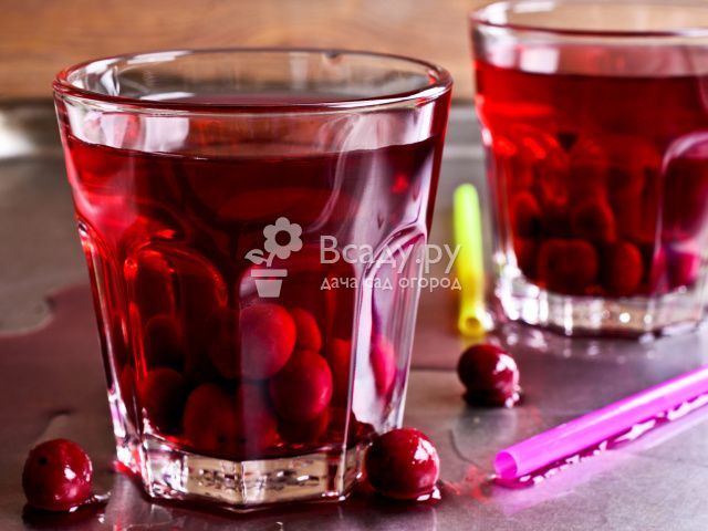 Черешня: польза и вред для здоровья человека