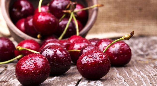 Черешня: польза и вред для здоровья человека