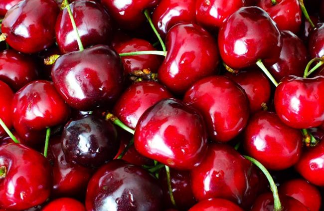 Черешня: польза и вред для здоровья человека