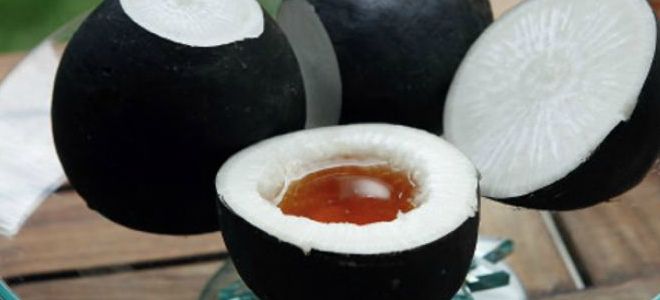 редька с медом как приготовить и принимать