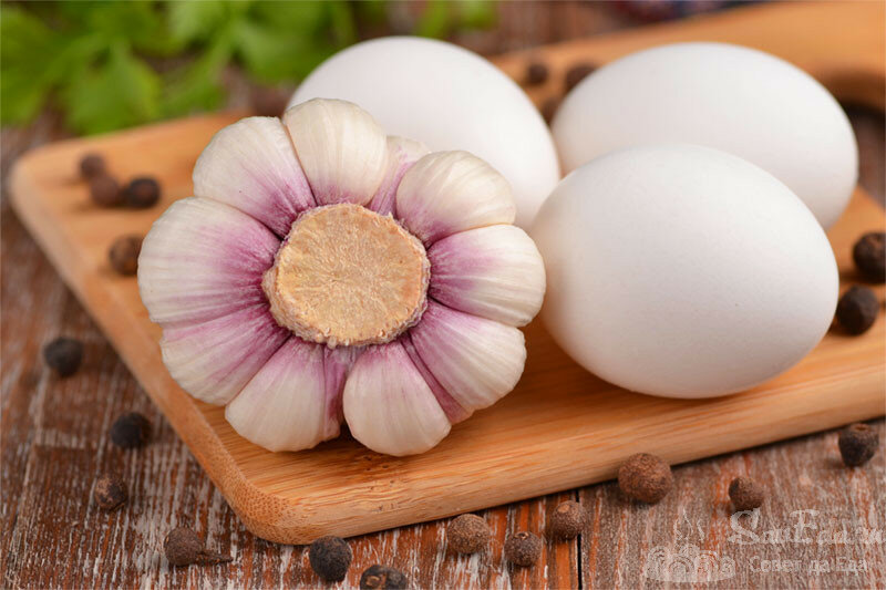 В этом маринаде любое мясо становится нежным, тающим во рту. И всего 2 продукта (примеры с фото)