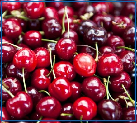 Черешня: польза и вред для здоровья человека