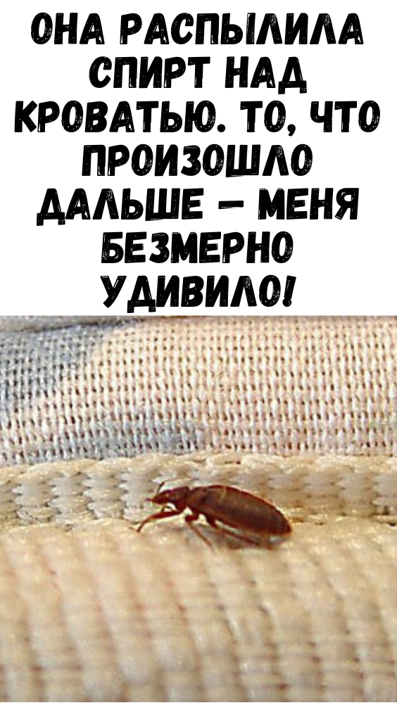 ОНА РАСПЫЛИЛА СПИРТ НАД КРОВАТЬЮ. ТО, ЧТО ПРОИЗОШЛО ДАЛЬШЕ — МЕНЯ БЕЗМЕРНО УДИВИЛО!