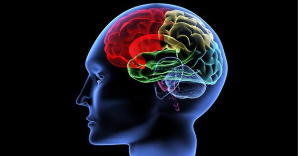 10 опасных привычек медленно убивающих твой мозг