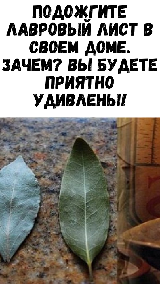 ПОДОЖГИТЕ ЛАВРОВЫЙ ЛИСТ В СВОЕМ ДОМЕ. ЗАЧЕМ? ВЫ БУДЕТЕ ПРИЯТНО УДИВЛЕНЫ!