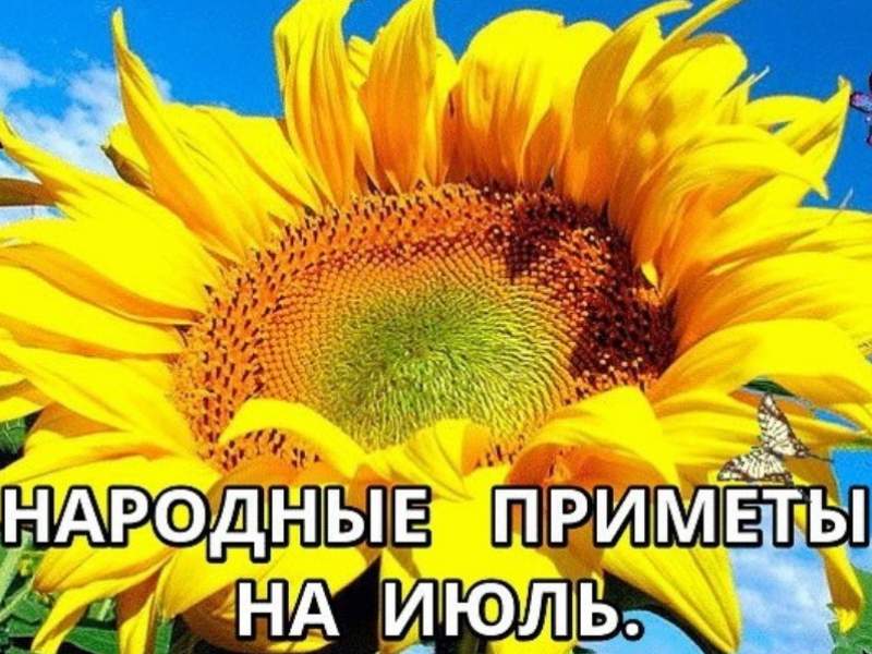 Народные приметы июля