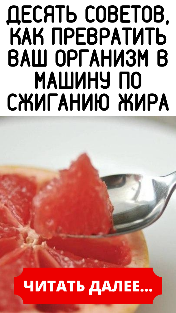 Десять советов, как превратить ваш организм в машину по сжиганию жира