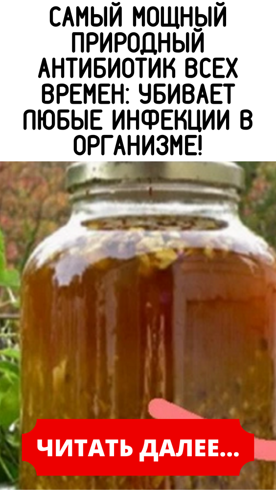 Самый мощный природный антибиотик всех времен: убивает любые инфекции в организме!