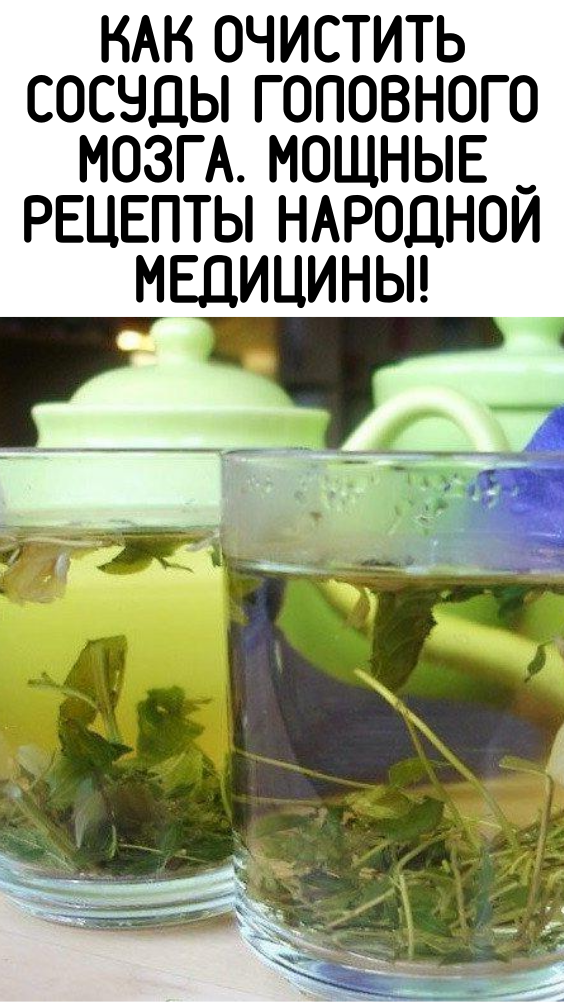 Как очистить сосуды головного мозга. Мощные рецепты народной медицины!