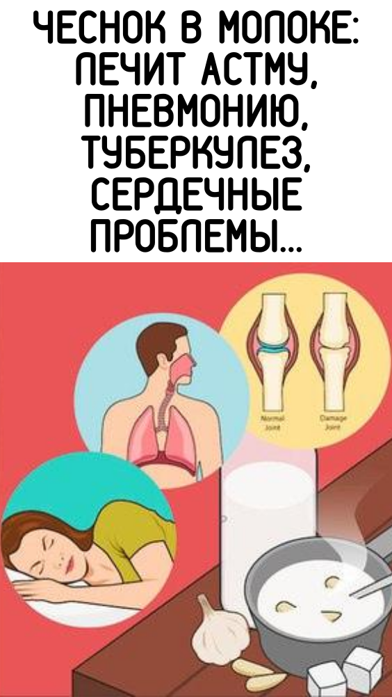 Чеснок в молоке: лечит астму, пневмонию, туберкулез, сердечные проблемы…