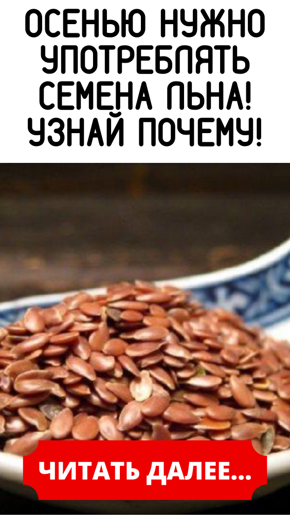 Осенью нужно употреблять семена льна! Узнай почему!