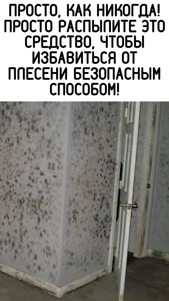 Просто, как никогда! Просто распылите это средство, чтобы избавиться от плесени безопасным способом!