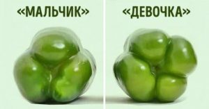 Хозяйка положила в морозилку 2 луковицы. Узнав зачем, следую этому трюку безоговорочно! Хозяйка положила в морозилку 2 луковицы. Узнав зачем, следую этому трюку безоговорочно!