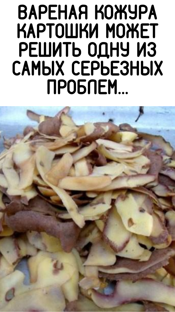 Вареная кожура картошки может решить одну из самых серьезных проблем…