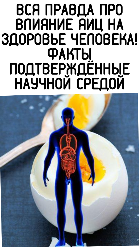 Вся правда про влияние яиц на здоровье человека! Факты подтверждённые научной средой