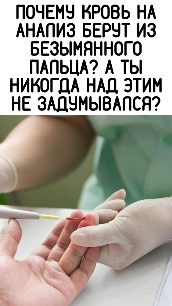 Почему кровь на анализ берут из безымянного пальца? А ты никогда над этим не задумывался?