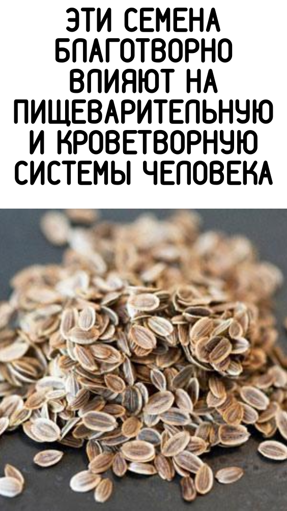 Эти семена благотворно влияют на пищеварительную и кроветворную системы человека