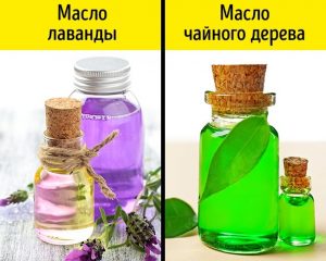 10 простых способов быстро отрастить красивые брови 10 простых способов быстро отрастить красивые брови