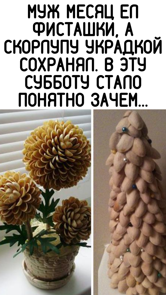 МУЖ МЕСЯЦ ЕЛ ФИСТАШКИ, А СКОРЛУПУ УКРАДКОЙ СОХРАНЯЛ. В ЭТУ СУББОТУ СТАЛО ПОНЯТНО ЗАЧЕМ…