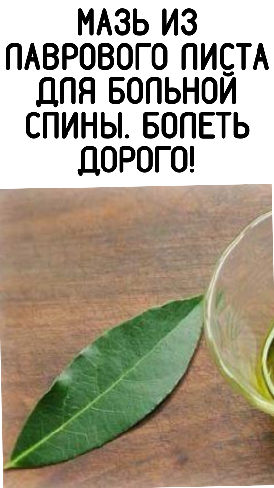 МАЗЬ ИЗ ЛАВРОВОГО ЛИСТА ДЛЯ БОЛЬНОЙ СПИНЫ. БОЛЕТЬ ДОРОГО!
