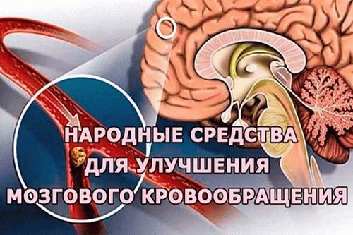 Целебная смесь для укрепления сосудов, восстановления памяти, восстановления мозгового кровообращения