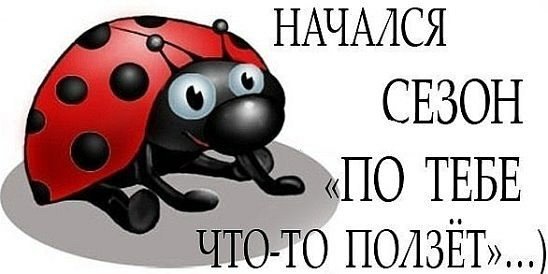 Пить мы не умеем... улыбнемся)))