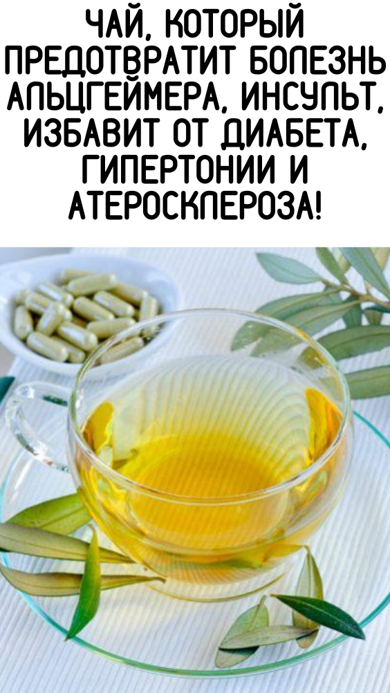 Чай, который предотвратит болезнь Альцгеймера, инсульт, избавит от диабета, гипертонии и атеросклероза!