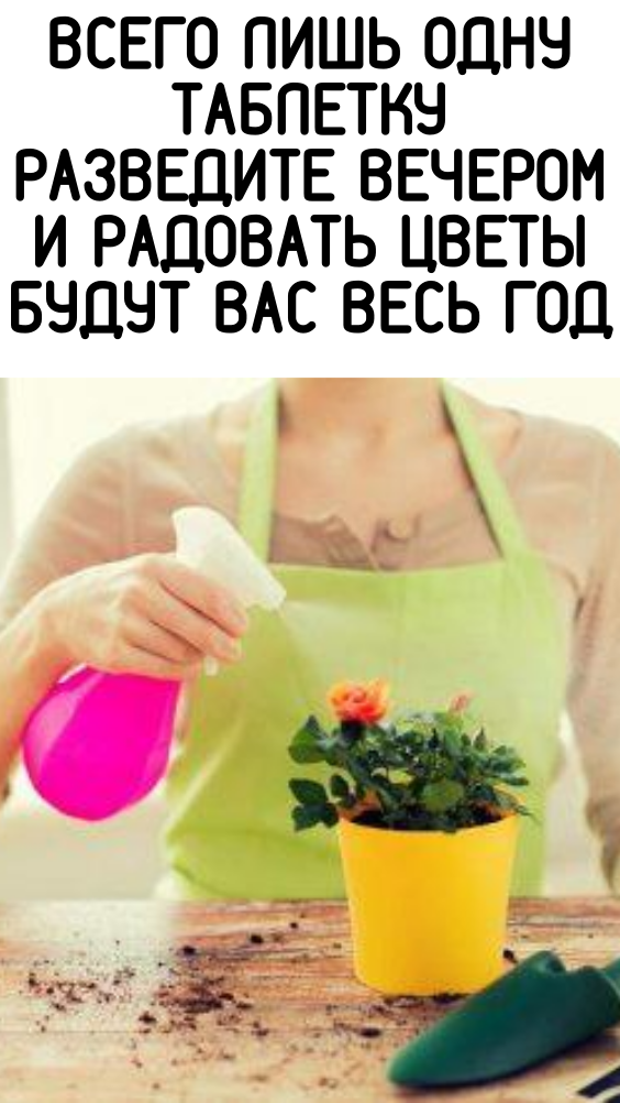 Всего лишь одну таблетку разведите вечером и радовать цветы будут вас весь год