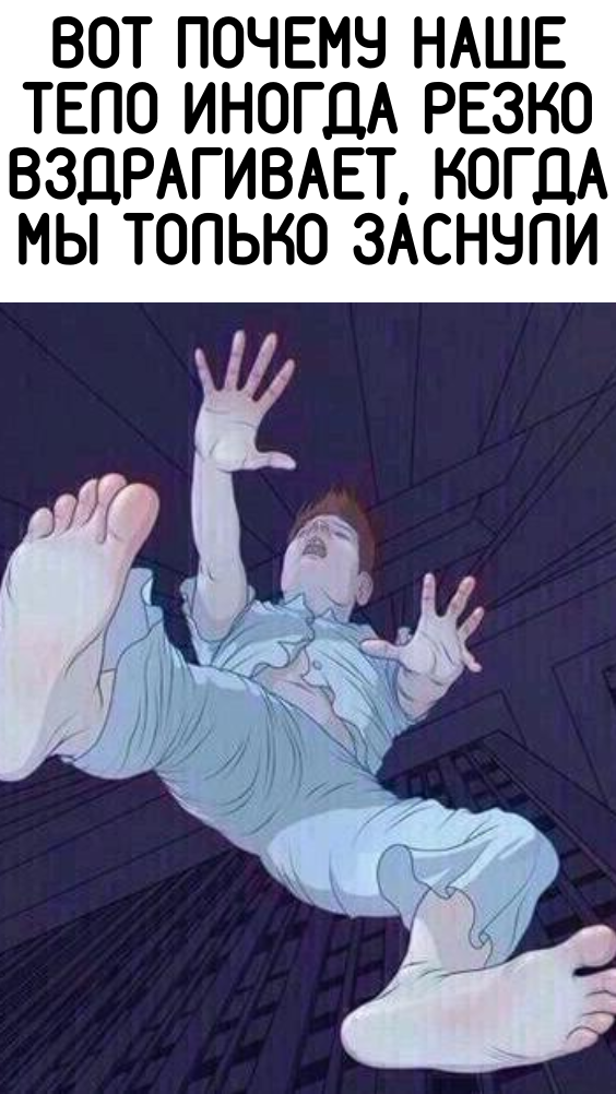 Вот почему наше тело иногда резко вздрагивает, когда мы только заснули