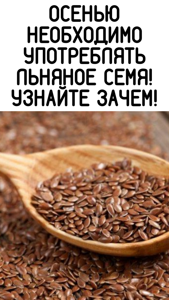 Осенью необходимо употреблять льняное семя! Узнайте зачем!