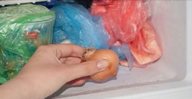 Хозяйка положила в морозилку 2 луковицы. Узнав зачем, следую этому трюку безоговорочно! Хозяйка положила в морозилку 2 луковицы. Узнав зачем, следую этому трюку безоговорочно!
