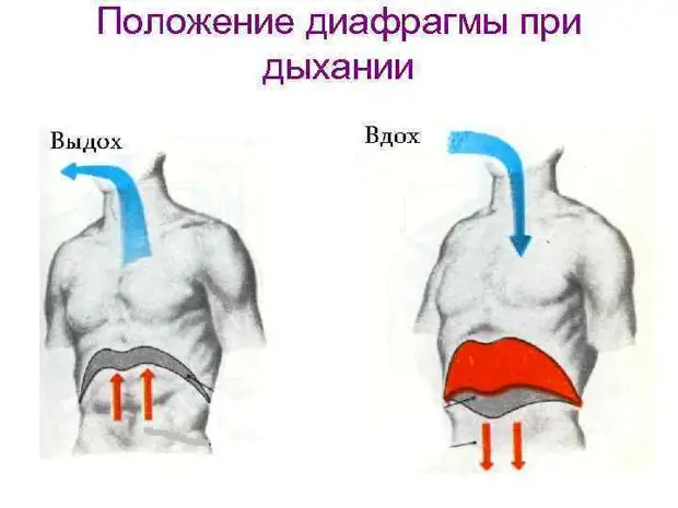 Упражнения, омолаживающие весь организм
