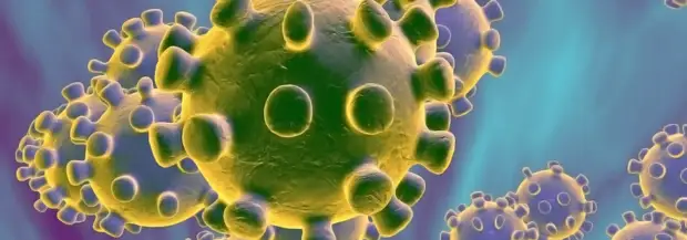 Японские исследователи узнали, сколько SARS-CoV-2 остается на коже