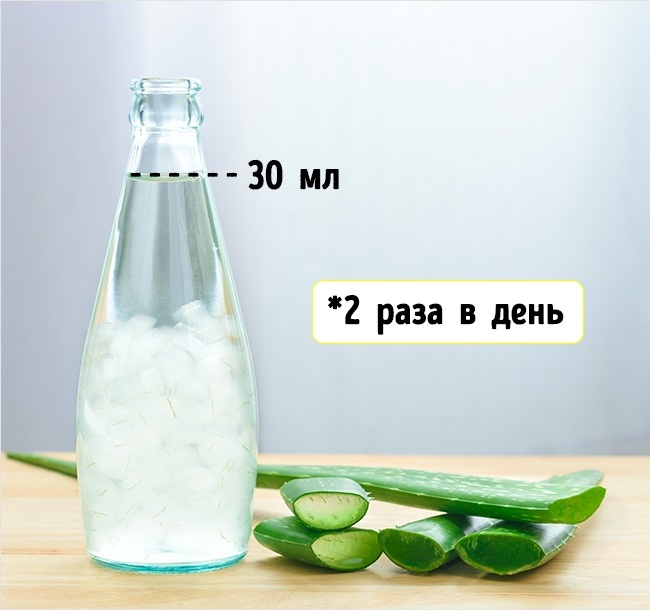 5 свойств алоэ, ради которых стоит посадить его дома 5 свойств алоэ, ради которых стоит посадить его дома