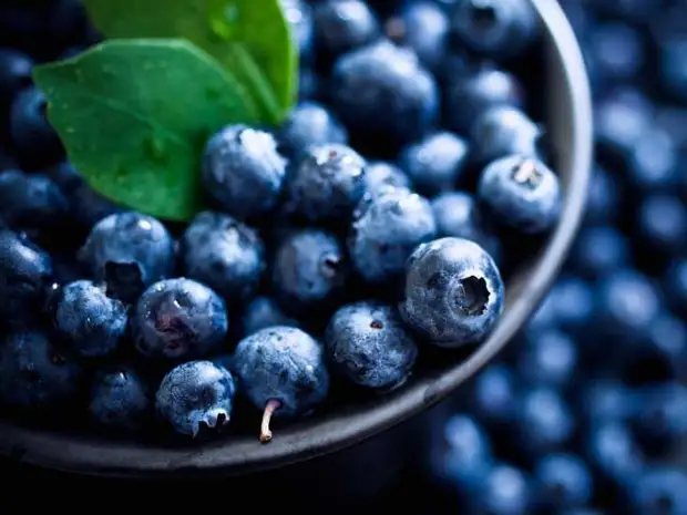 Лучшие продукты для здоровья почек