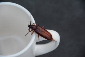 ЭТА ШТУКА ЕСТЬ У ВАС ДОМА. НО ЗНАЕТЕ ЛИ ВЫ, КАК ЕЕ ИСПОЛЬЗОВАТЬ? ЭТА ШТУКА ЕСТЬ У ВАС ДОМА. НО ЗНАЕТЕ ЛИ ВЫ, КАК ЕЕ ИСПОЛЬЗОВАТЬ?