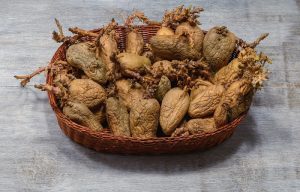 Предупреждение! Не ешь такой картофель, в нём яды. Предупреждение! Не ешь такой картофель, в нём яды.