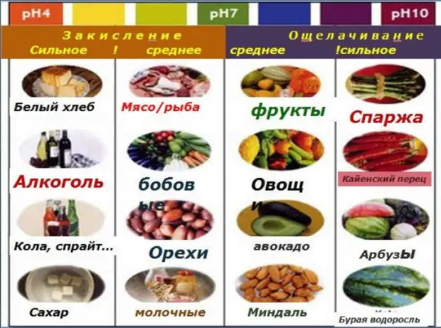 Что такое кислотные и щелочные продукты, и как они влияют на наше здоровье