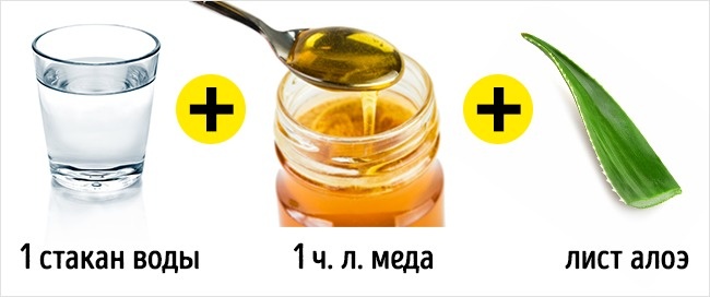 5 свойств алоэ, ради которых стоит посадить его дома 5 свойств алоэ, ради которых стоит посадить его дома
