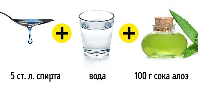 5 свойств алоэ, ради которых стоит посадить его дома 5 свойств алоэ, ради которых стоит посадить его дома