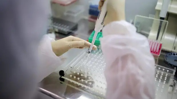 Самый быстрый тест на коронавирус в мире: новая немецкая разработка