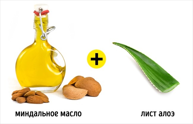 5 свойств алоэ, ради которых стоит посадить его дома 5 свойств алоэ, ради которых стоит посадить его дома